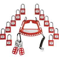 Lock & Tag Carrier with Keyed Different Nylon Safety Lockout Padlocks Advanced Consulting and Training Ltd.