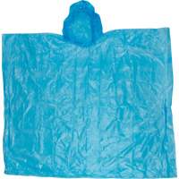 Disposable Poncho Advanced Consulting and Training Ltd.