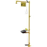 Poste de douche oculaire & douche de s&eacute;curit&eacute; Halo Advanced Consulting and Training Ltd.
