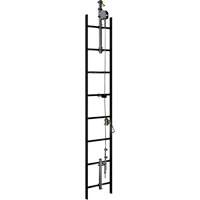 Syst&egrave;me de s&eacute;curit&eacute; verticale &agrave; c&acirc;ble Lad-Saf, Acier inoxydable Advanced Consulting and Training Ltd.