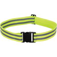 1148 High-Visibility Adjustable Safety Belt Advanced Consulting and Training Ltd.