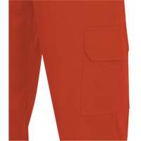 7765 Pantalon cargo de s&eacute;curit&eacute; haute visibilit&eacute; r&eacute;sistant aux arcs &eacute;lectriques FR-Tech 88/12, 30, x 32, Orange haute visibilit&eacute;, 10 cal/cm² Advanced Consulting and Training Ltd.