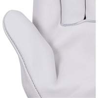 535G Beige Driver's Gloves, Small, Grain Cowhide Palm Advanced Consulting and Training Ltd.