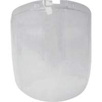 &eacute;cran antibrouillard de remplacement de la s&eacute;rie DP4, Polycarbonate, Teinte Transparent Advanced Consulting and Training Ltd.