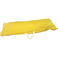 Sac de rangement pour Pop-up Pool 20 gal mod&egrave;le &eacute;conomique Advanced Consulting and Training Ltd.