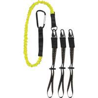 Longe d'outil GearLink avec embouts interchangeables, Tendeur, Mousqueton/boucle Advanced Consulting and Training Ltd.