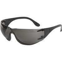 Adapt Safety Glasses, Smoke Lens, Anti-Fog/Anti-Scratch, ANSI Z87+/Meets/Exceeds CSA Z94.3 Advanced Consulting and Training Ltd.