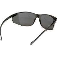 Lunettes de s&eacute;curit&eacute; Legacy, Lentille Gris, ANSI Z87+/R&eacute;pond ou surpasse la norme CSA Z94.3 Advanced Consulting and Training Ltd.