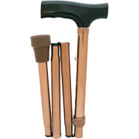 Folding Cane Advanced Consulting and Training Ltd.