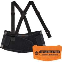 Proflex 1675 Back Support Brace with Cooling/Warming Pack, Spandex, X-Small Advanced Consulting and Training Ltd.