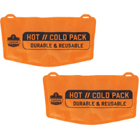 ProFlex 6275 Reusable Hot/Cold Pack Replacement Advanced Consulting and Training Ltd.