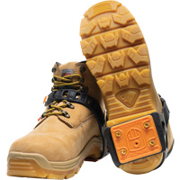 Crampons cibl&eacute;s pour traction sur glace Advanced Consulting and Training Ltd.