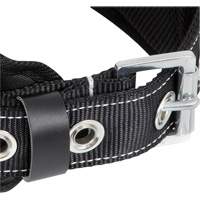 WB-6010-S Dispositif de retenue de s&eacute;curit&eacute; avec ceinture &agrave; un anneau en D et support lombaire rembourr&eacute; - Petit Advanced Consulting and Training Ltd.
