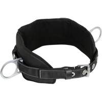 WB-6020-S Safety Positioning 2 Side D-Rings Belt with Padded Lumbar Support - Small Advanced Consulting and Training Ltd.