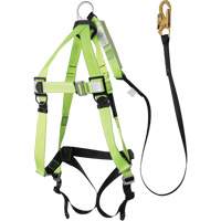 FBH-10000A5440-4 Harnais & longe classe A de 4' avec capacit&eacute; de 220 lb, Combinaison harnais/longe Advanced Consulting and Training Ltd.