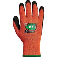 Gants d'hiver r&eacute;sistants &agrave; la coupe Dexterity TKTAGLX, Taille Moyen, Calibre 13, Rev&ecirc;tement Latex, Enveloppe en TenActiv, ASTM ANSI niveau A3 Advanced Consulting and Training Ltd.