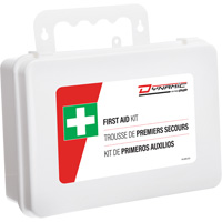 Dynamic First Aid Kit, Meets/Exceeds CSA Z1220-24 Type 2 Low-Risk Environment, Large (51-100 Workers) Advanced Consulting and Training Ltd.