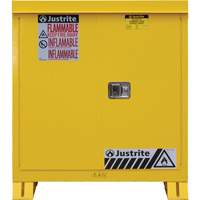 Armoire ext&eacute;rieure pour produits inflammables, 30 gal., 2 Porte(s), 43" La x 44" h x 18" p Advanced Consulting and Training Ltd.