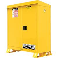 Armoire ext&eacute;rieure pour produits inflammables, 30 gal., 2 Porte(s), 43" La x 44" h x 18" p Advanced Consulting and Training Ltd.