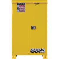 Armoire ext&eacute;rieure pour produits inflammables, 45 gal., 2 Porte(s), 43" La x 65" h x 18" p Advanced Consulting and Training Ltd.