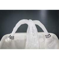 Douche oculaire/faciale, Installation Montage mural, Bol Plastique Advanced Consulting and Training Ltd.