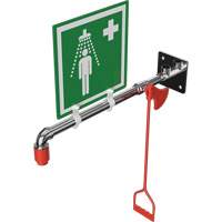 Drench Shower, Wall-Mount Advanced Consulting and Training Ltd.