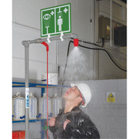 Combination Shower with Closed ABS Bowl & Top Inlet, Pedestal Advanced Consulting and Training Ltd.