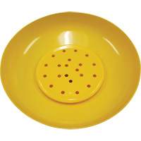 Pomme de douche de s&eacute;curit&eacute; en plastique ABS Advanced Consulting and Training Ltd.