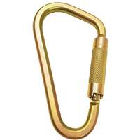 Connecteur mousqueton avec ouverture de 2-1/4" Advanced Consulting and Training Ltd.