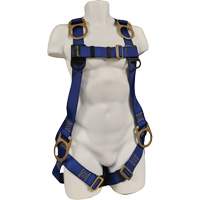 ECO Safety Harness, CSA Certified, Class AEP, 352 lbs. Cap. Advanced Consulting and Training Ltd.