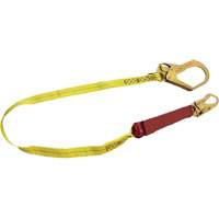 External Energy Absorber Lanyard with 2-1/4" Hook, 6', Snap Hook Center, Snap Hook Leg Ends, Polyester Advanced Consulting and Training Ltd.
