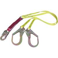 External Energy Absorber Lanyard with 2-1/4" Hooks, 6', Snap Hook Center, Snap Hook Leg Ends, Polyester Advanced Consulting and Training Ltd.