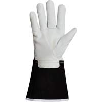 Endura&reg; 399GKGL5 Welding Gloves, Grain Goatskin, Size X-Small Advanced Consulting and Training Ltd.