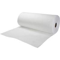 Rouleaux absorbants li&eacute;es, Lourd, 150' lo x 30" la, Absorption 24 gal. Advanced Consulting and Training Ltd.