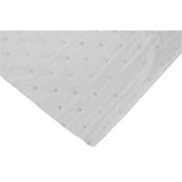 Rouleaux absorbants li&eacute;es, Lourd, 150' lo x 30" la, Absorption 24 gal. Advanced Consulting and Training Ltd.