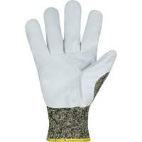 ParaActiv SKWCPLP Heat Protection Gloves with Leather Palms, Size X-Small, 7 Gauge, ParaActiv Shell, ASTM ANSI Level A8 Advanced Consulting and Training Ltd.