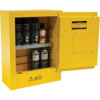 Armoire de s&eacute;curit&eacute; miniature pour produits inflammables, 2 gal., 1 Porte(s), 17" La x 22" h x 8" p Advanced Consulting and Training Ltd.