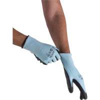 Gants &eacute;lastiques &eacute;cologiques r&eacute;sistants &agrave; la coupe, Taille 11, Calibre 13, Rev&ecirc;tement Polyur&eacute;thane, Enveloppe en PEHP/rPET, ASTM ANSI niveau A3 Advanced Consulting and Training Ltd.