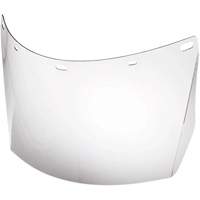 Lentille de rechange pour visi&egrave;re compl&egrave;te sans rev&ecirc;tement, Polycarbonate, Teinte Transparent Advanced Consulting and Training Ltd.