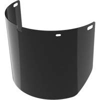 Lentille de rechange pour visi&egrave;re compl&egrave;te sans rev&ecirc;tement, Polycarbonate, Teinte 5,0 Advanced Consulting and Training Ltd.