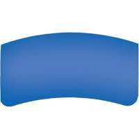 Lentille ext&eacute;rieure Bullard GenVX PETG Advanced Consulting and Training Ltd.