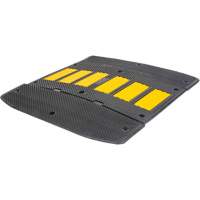 Speed Hump with End Caps, Rubber, 2' L x 36" W x 1-1/4" H Advanced Consulting and Training Ltd.