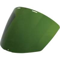 Visi&egrave;re vert fonc&eacute; Advanced Consulting and Training Ltd.