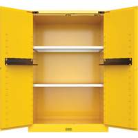 Armoire de s&eacute;curit&eacute; pour produits inflammables Utili-Guard+, 45 gal., 2 Porte(s), 43" La x 65" h x 22" p Advanced Consulting and Training Ltd.