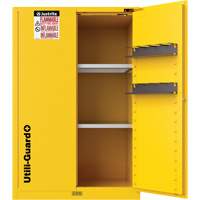Armoire de s&eacute;curit&eacute; pour produits inflammables Utili-Guard+, 45 gal., 2 Porte(s), 43" La x 65" h x 22" p Advanced Consulting and Training Ltd.