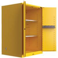 Armoire de s&eacute;curit&eacute; pour produits inflammables Utili-Guard+, 45 gal., 2 Porte(s), 43" La x 65" h x 22" p Advanced Consulting and Training Ltd.