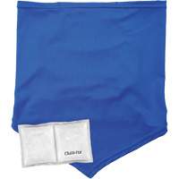 Cache-cou/bandana de refroidissement Chill-Its 6482 avec sachet r&eacute;frig&eacute;rant &agrave; changement de phase r&eacute;utilisable, petit/moyen, Bleu Advanced Consulting and Training Ltd.