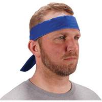 Bandeau de refroidissement Chill-Its 6702 avec polym&egrave;res int&eacute;gr&eacute;s et fermeture &agrave; nouer, Bleu Advanced Consulting and Training Ltd.