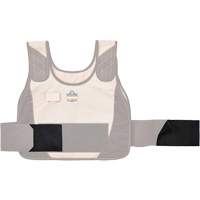Chill-Its 6240 Phase Change Cooling Vest Elastic Extenders Advanced Consulting and Training Ltd.