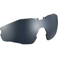 MY6 Safety Glasses Replacement Lens, Anti-Fog/Anti-Scratch, Grey/Smoke, MY6 Advanced Consulting and Training Ltd.